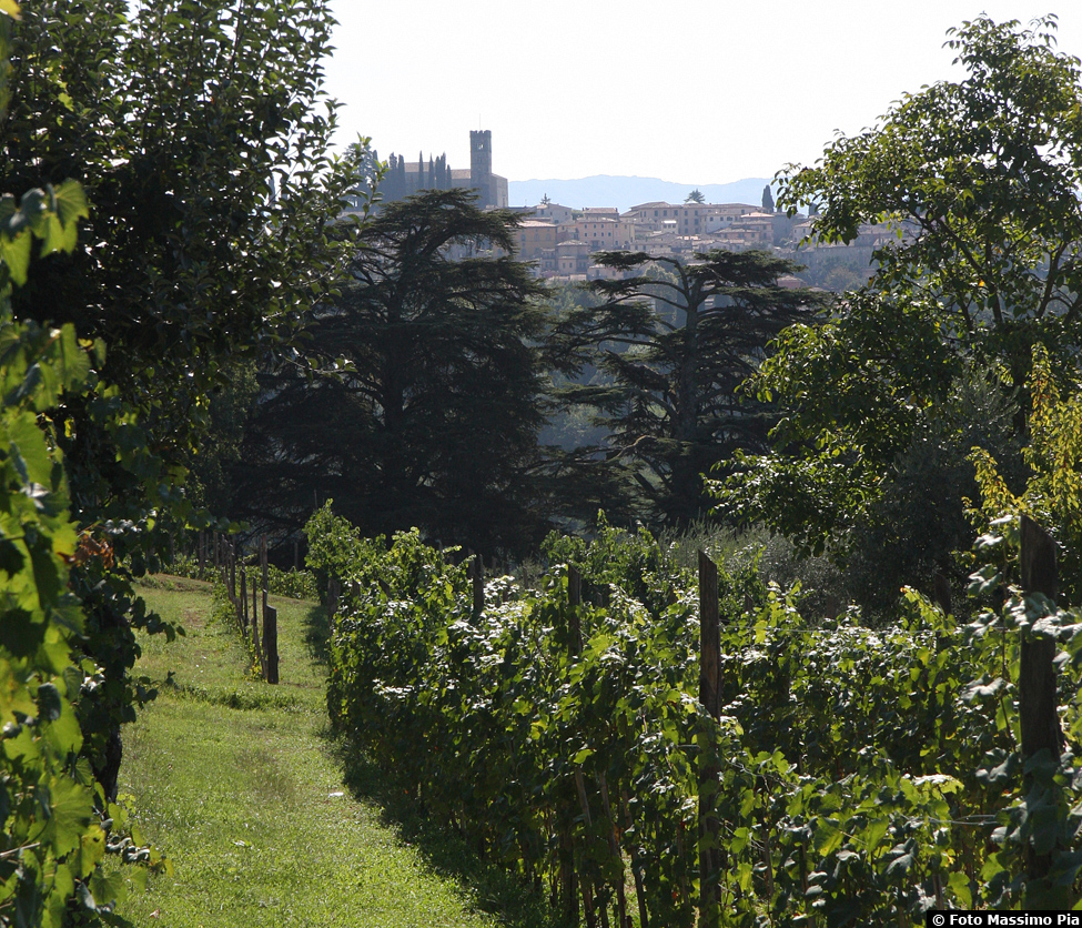 Duomo di Barga - Centro Storico - Vista da I Cedri 